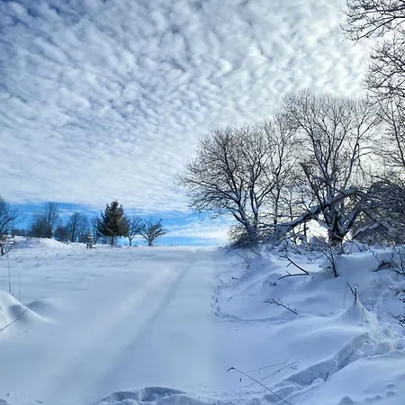 Gosciniec Rajec Rajcza