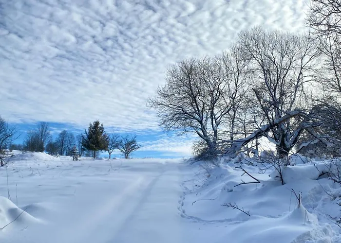 Gosciniec Rajec Rajcza